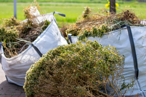 Best Moving and Downsizing Cleanouts  in Waikoloa Village, HI